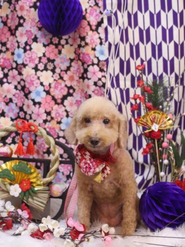 20250105COCOちゃん